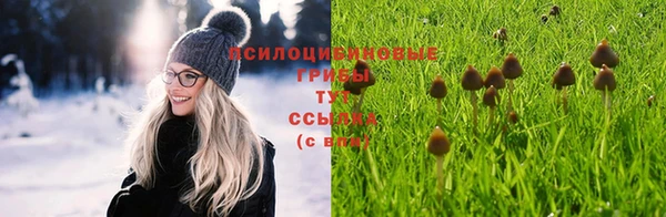 a pvp Абинск