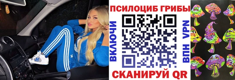 что такое   Спасск-Рязанский  Псилоцибиновые грибы Cubensis 